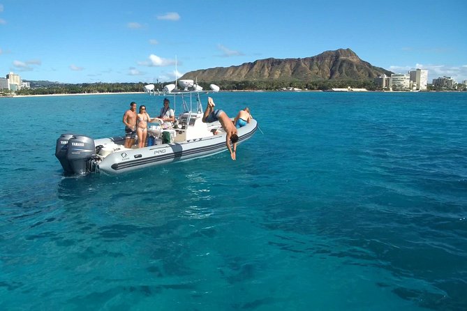 Private Snorkeling and Wildlife on The Adventure Boat - How the 2 hours actually play out on the water