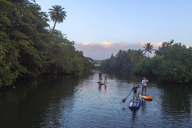 Private Stand up Paddle Lesson and Tour (for 1 or more paddlers) - Private SUP on Oahu’s North Shore: why this lesson format works