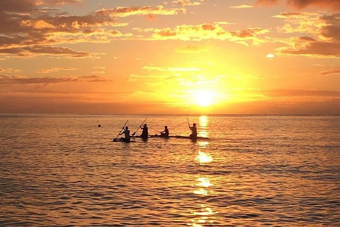 Private Stand up Paddle Lesson and Tour (for 1 or more paddlers) - Up the Anahulu stream: turtles are common, even when you’re focused