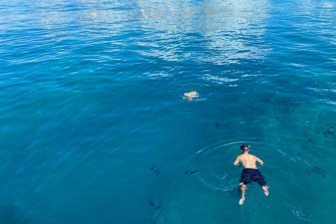 Private Sunset Catamaran Cruise in Waikiki - The snorkeling break: reef time, sea turtles, and crew support