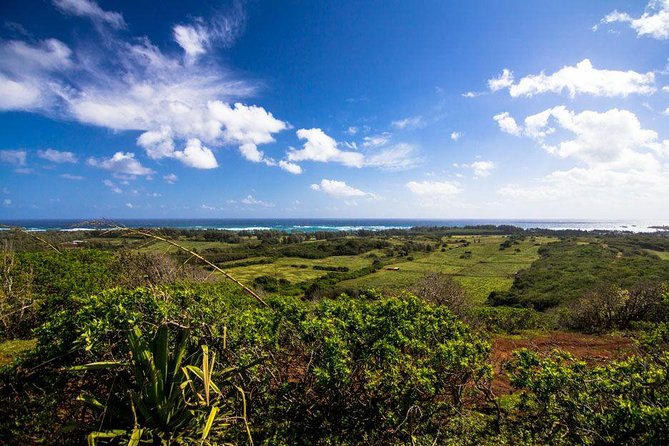 Private Sunset Dinner Horseback Ride - Key points before you go