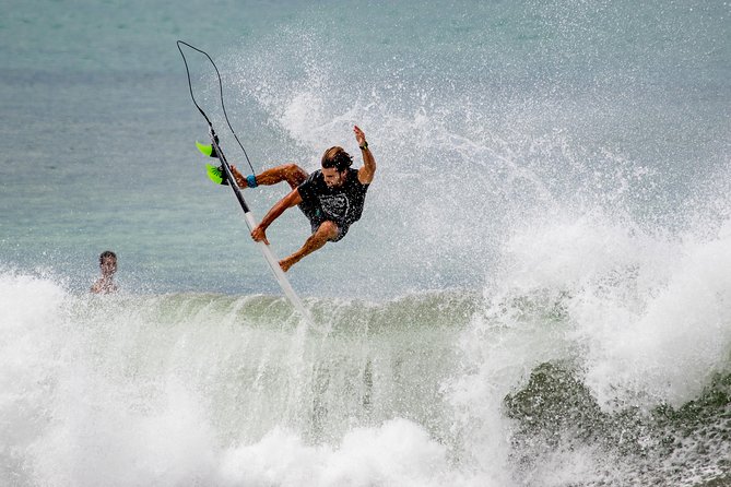 Private Surf Lesson - Sea Turtles: Possible Wildlife Encounters While You Learn