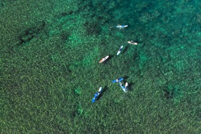 Private Surf Lesson for 3-5 People in North Shore Oahu - The land lesson: where beginners get their confidence