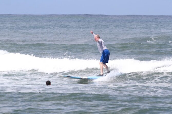 Private Surf Lessons in North Shore Oahu - Sea turtles on the route: seeing nature while staying safe