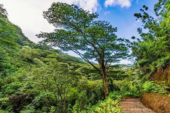 PRIVATE TOUR-Hike Diamond Head & Hawaiian Waterfall - Why this Diamond Head and Manoa Falls private hike fits an Oahu schedule
