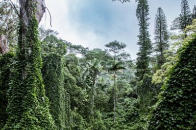PRIVATE TOUR-Hike Diamond Head & Hawaiian Waterfall - Diamond Head crater hike: stairs, 360-degree views, and summit time