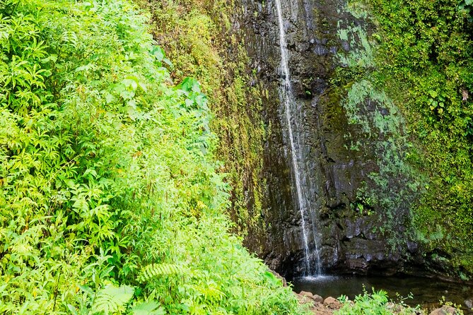 PRIVATE TOUR-Hike Diamond Head & Hawaiian Waterfall - Pickup, mobile tickets, and what $107 really buys you