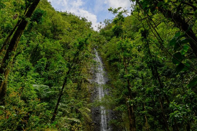 PRIVATE TOUR-Hike Diamond Head & Hawaiian Waterfall - Should you book this Diamond Head and Manoa Falls private tour?