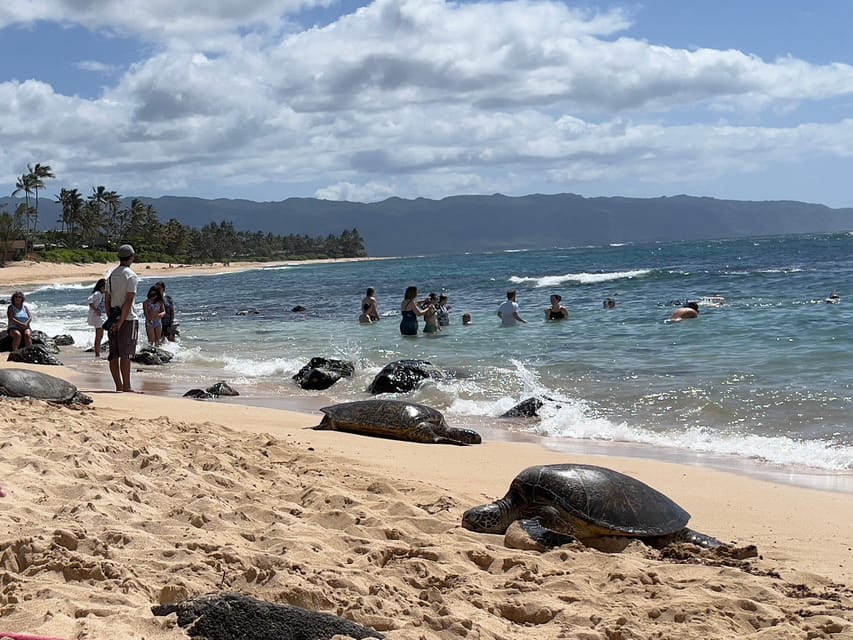 Private Tour Oahu-Circle Island-Customizable - Key things I’d focus on before you go