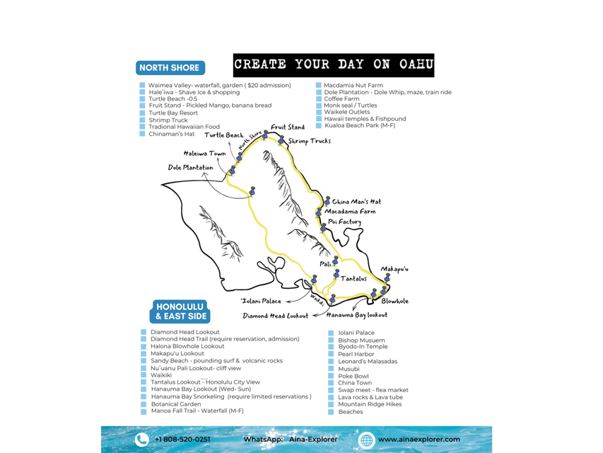 Private Tour Oahu-Circle Island-Customizable - North Shore and Turtle Beach: Haleʻiwa, sea turtles, and lunch that actually fits