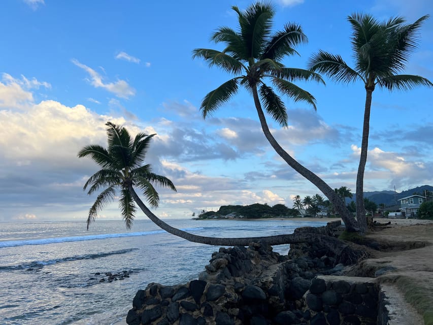 Private Tour Oahu-Circle Island-Customizable - Price and who this tour fits best at $215 per person