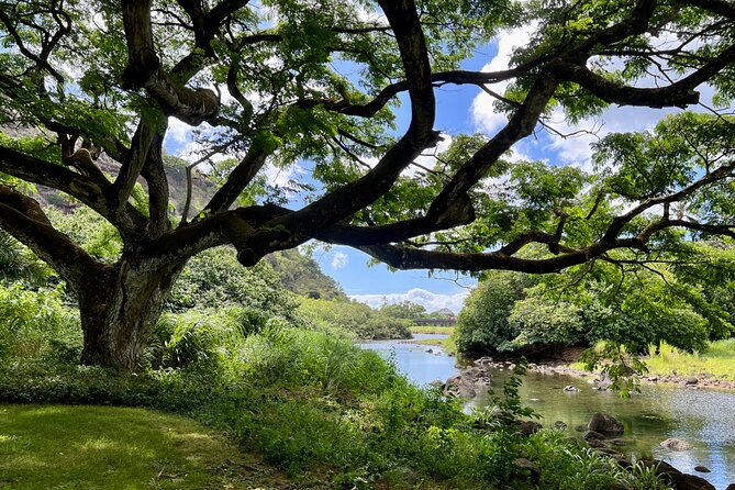Private Tour Oahu including Waimea Waterfall-Customizable - Price and value: what you’re paying for, and what you get