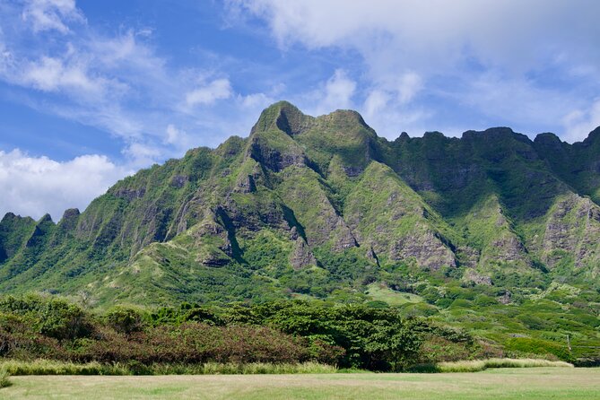 Private Tour Oahu including Waimea Waterfall-Customizable - North Shore food vibes and where lunch might fit
