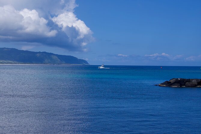 Private Tour Oahu including Waimea Waterfall-Customizable - Northeastern coastline and Chinaman’s Hat (Mokoli’i Island)
