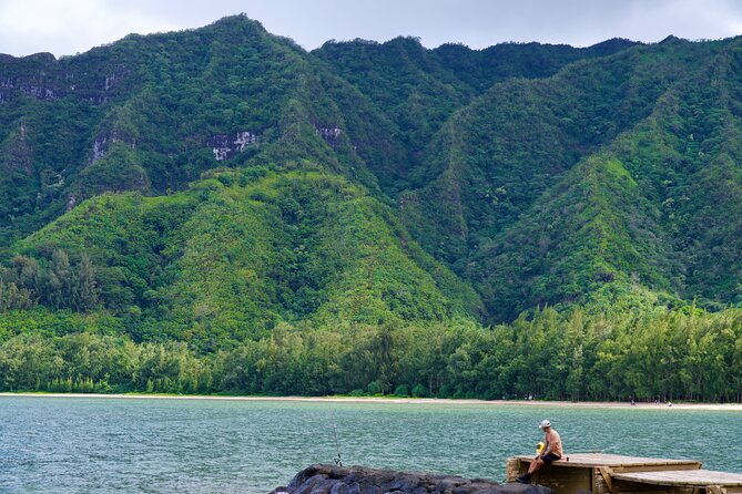 Private Tour Oahu including Waimea Waterfall-Customizable - Nu’uanu Pali Lookout and the wind-and-view reality