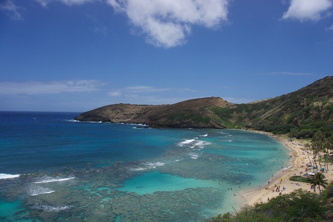 Private Tour Oahu - up to 6 passengers - Customizable - Starting at 9:00 am: Private Van, Custom Route, Real Time