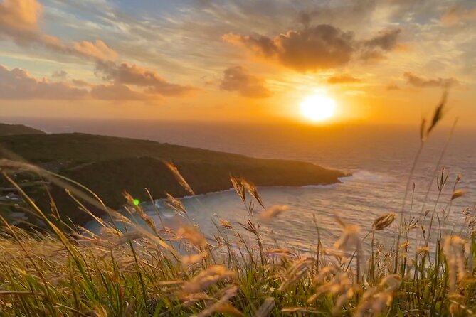 Private Tour Oahu - up to 6 passengers - Customizable - Makapuʻu Point, Whale Season, and Koʻolau Cliffs on the Way