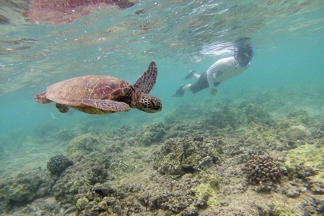 Private Tour of Oahu for 6 to 11 people - up to 8 hours - Should You Book This Private Oahu Tour?