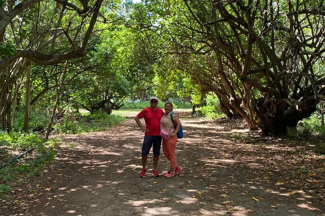PRIVATE TOUR-Ultimate North Shore Experience - Waimea Valley’s ¾-mile paved walk to Waimea Falls