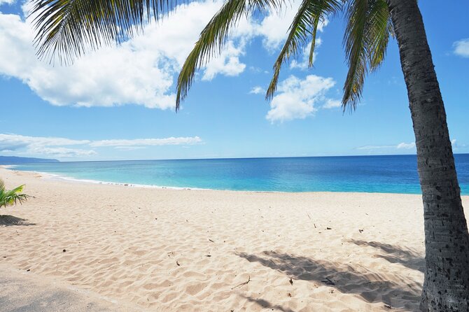 PRIVATE TOUR-Ultimate North Shore Experience - Price and value: what $805 buys for up to four