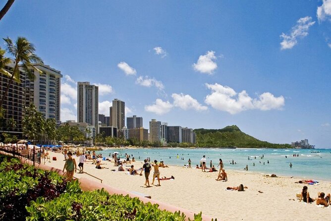 Private Transfer: Honolulu Airport HNL to Honolulu in Luxury SUV - Service Details That Matter More Than You Think