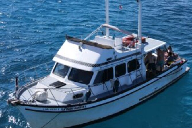Private Turtle Canyon Snorkel Tour - Up to 6 Passengers - Sunset Requests and the 1 Hour 45 Minute Reality