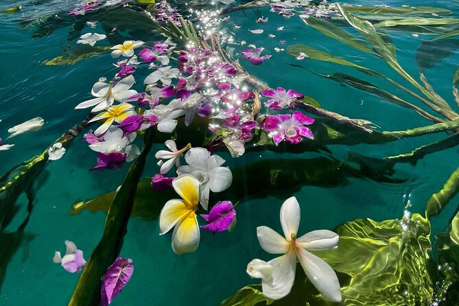 Private Waikiki Boat Charter – Create Your Own Ocean Experience - Marine life moments: seals, turtles, and dolphins