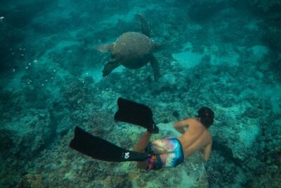 Private Waikiki Boat Charter – Create Your Own Ocean Experience - Snorkeling that stays practical: gear, flotation, and comfort