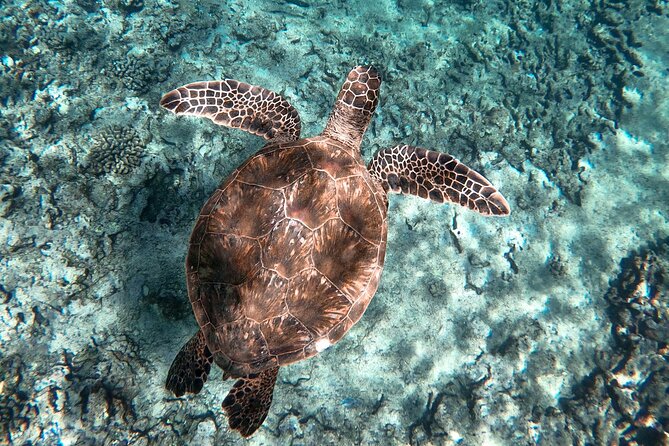 Private Waikiki Boat Charter – Create Your Own Ocean Experience - Waikiki and Diamond Head from offshore: the photo factor