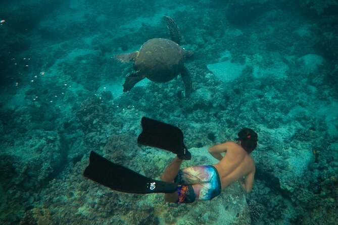 Private Waikiki Boat Charter – Create Your Own Ocean Experience - Snorkeling that stays practical: gear, flotation, and comfort