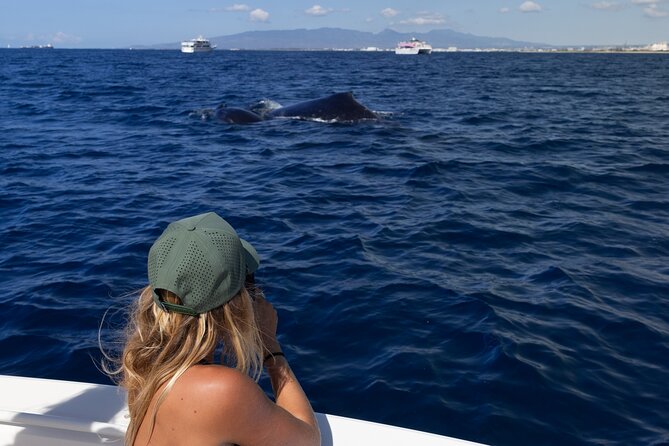 Private Whale Watching Activity: 6 passengers max - Comfort and Crew Personality: From Captain Phil to Izzy