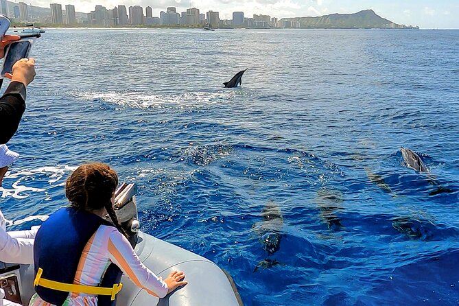 Private Whale Watching Adventure - Morning vs afternoon: choosing the timing that fits your Waikiki day