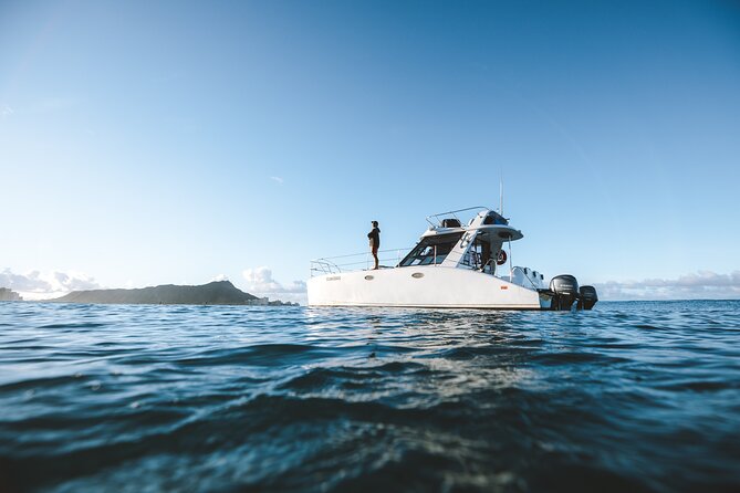 Private Whale Watching and Coastal Swimming Tour Honolulu - From Ala Moana to Diamond Head: what you’ll see on the route
