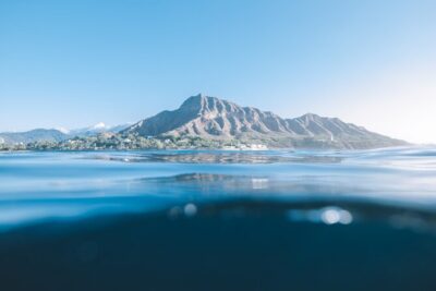 Private Whale Watching and Coastal Swimming Tour Honolulu - Whale watching in real time: how the crew helps you find humpbacks