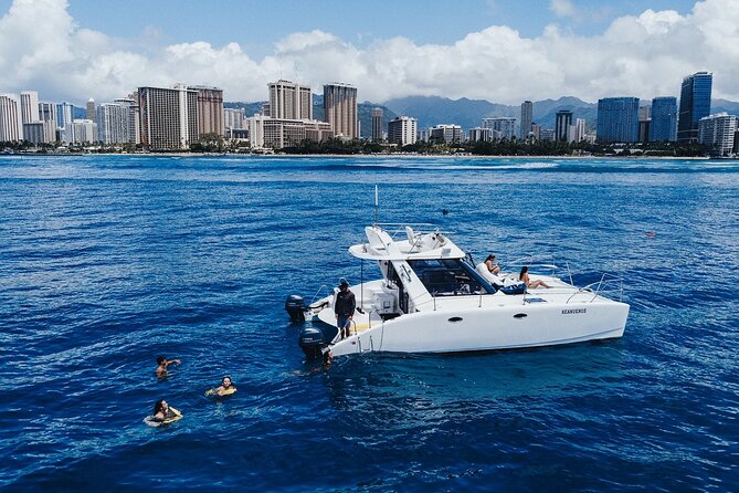 Private Whale Watching and Coastal Swimming Tour Honolulu - Meeting point and timing: keeping your day stress-free