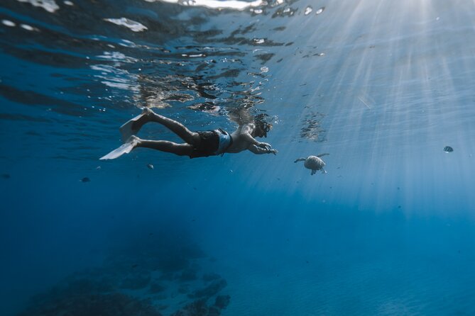 Private Whale Watching and Coastal Swimming Tour Honolulu - Weather and refunds: how to plan for Honolulu’s changing conditions