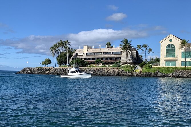 Private Whale Watching and Dolphin Excursion - Deck Comfort and Drinks: Bottled Water and the Iced Igloo Chest