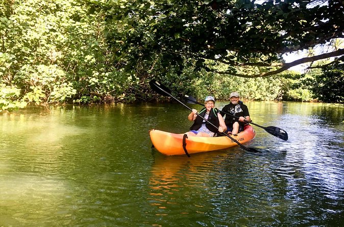 Rainforest River Kayak Self-Guided Kayak Tour - Equipment and comfort: what’s included, what to bring, and what to watch