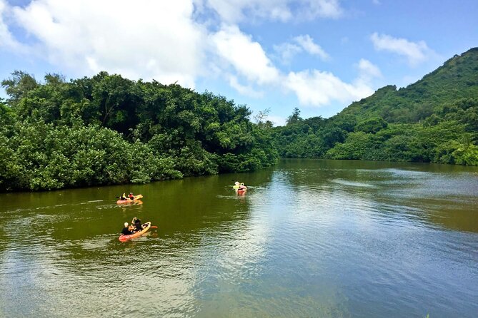 Rainforest River Kayak Self-Guided Kayak Tour - Itinerary in practice: what happens between launch and return