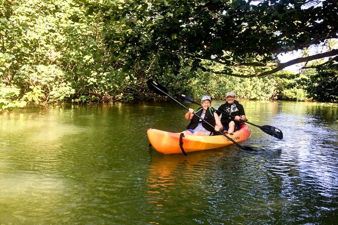 Rainforest River Kayak Self-Guided Kayak Tour - Who this tour suits best (and who might rethink it)