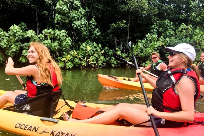 Rainforest River Kayak Self-Guided Kayak Tour - Price and value: is $82 per person worth it?