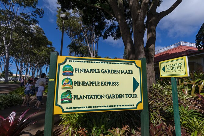 Real Hawaii Circle Island Tour - Why This Real Hawaii Circle Island Tour Feels More Like Local Oahu