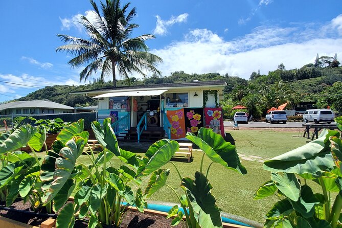 Round Trip North Shore Shuttle from Waikiki to Haleiwa Town / Haleiwa Harbor - Pickup and drop-off points in Waikiki: choose your spot smart