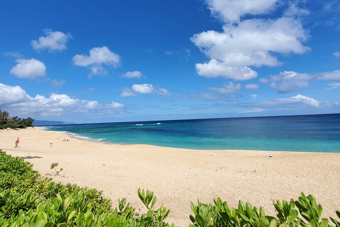 Round Trip North Shore Shuttle from Waikiki to Haleiwa Town / Haleiwa Harbor - Early vs late shuttle: pick the day vibe you want
