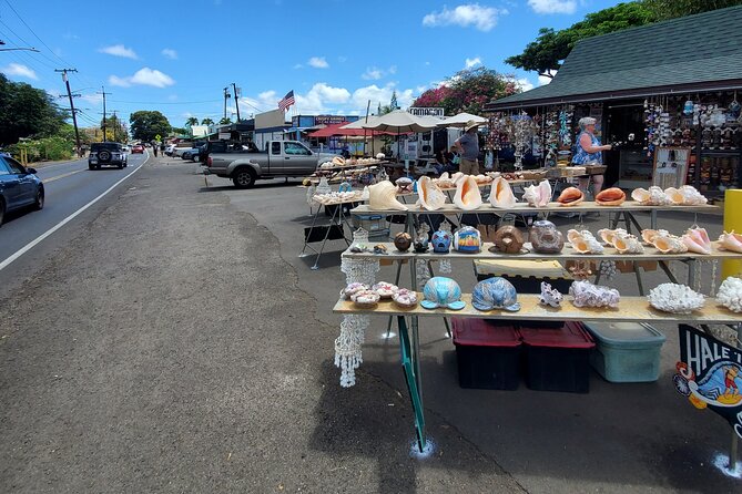 Round Trip North Shore Shuttle from Waikiki to Haleiwa Town / Haleiwa Harbor - The driver and the small-group feel: why it matters more than you think