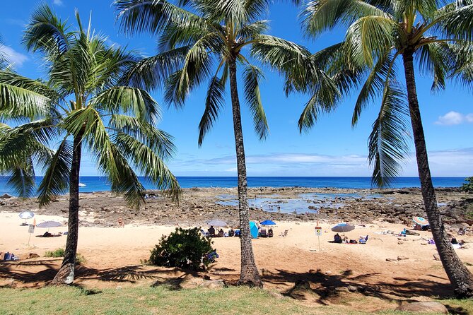Round Trip North Shore Shuttle from Waikiki to Haleiwa Town / Haleiwa Harbor - What I’d pack and how I’d plan your timing