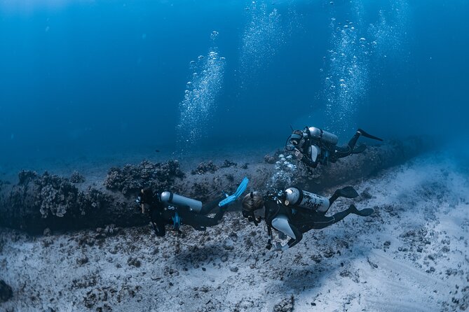 Scuba Dive at Electric Beach - Key Highlights at Electric Beach (What You’ll Actually Care About)
