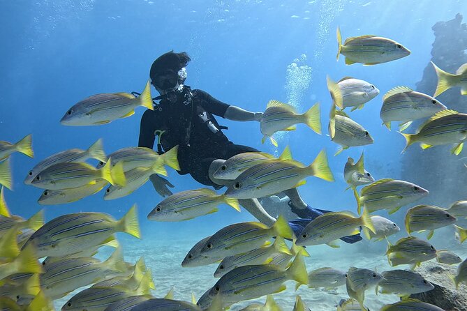 SCUBA Dive at Electric Beach with Photos -No Certification Needed - Key things to know before you go