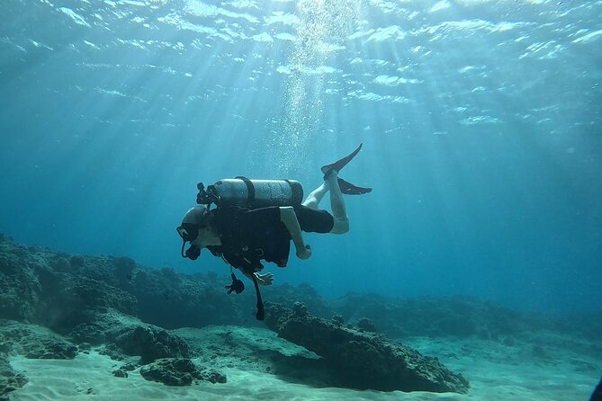 SCUBA Dive at Electric Beach with Photos -No Certification Needed - The instructor-led flow: safety first, then skills, then reef time