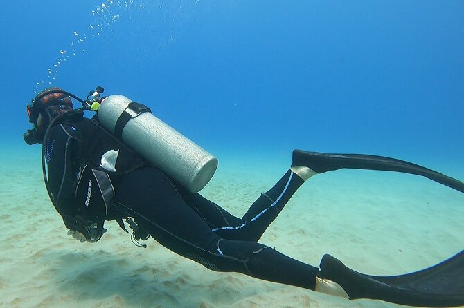 SCUBA Dive at Electric Beach with Photos -No Certification Needed - Weather, timing, and the one rule that affects your whole itinerary